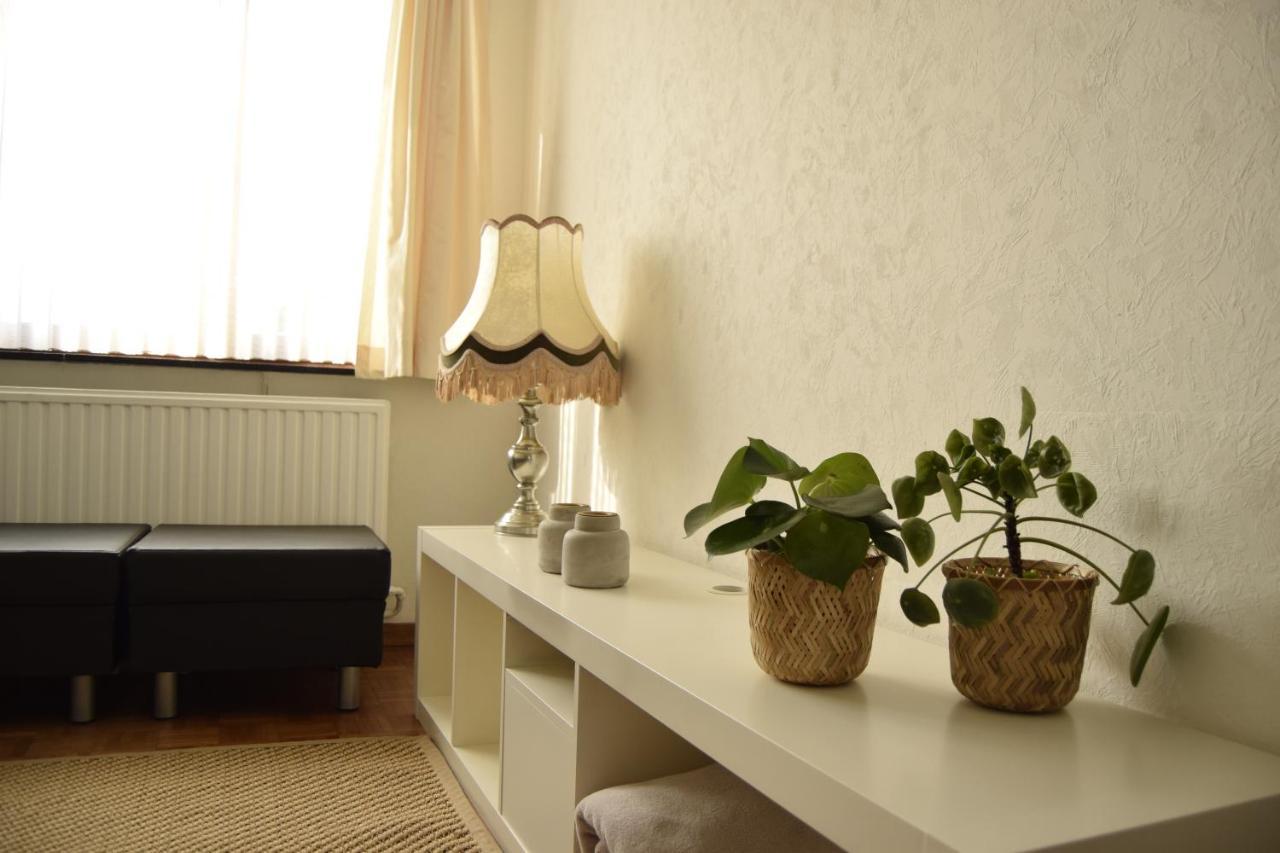 Vakantiewoning Wurfeldermolen Maaseik Kültér fotó