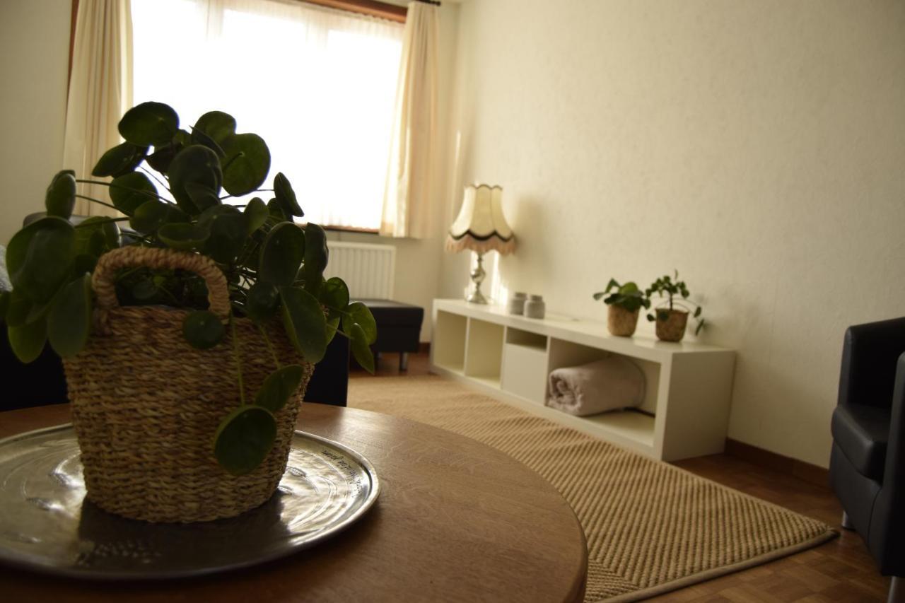 Vakantiewoning Wurfeldermolen Maaseik Kültér fotó