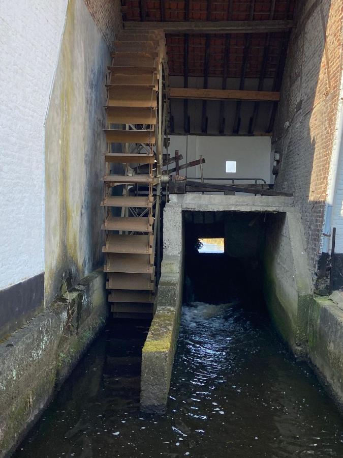 Vakantiewoning Wurfeldermolen Maaseik Kültér fotó